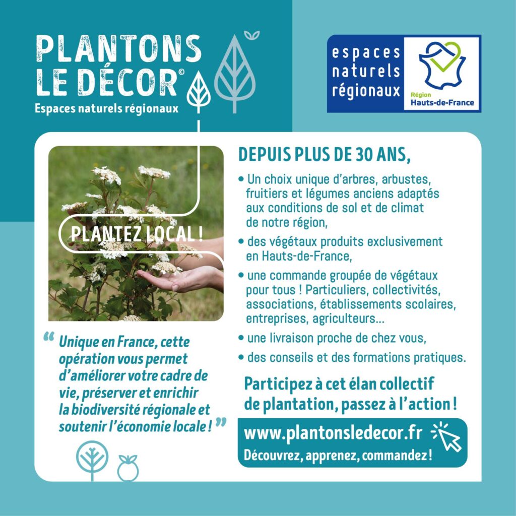 Plantons le décor