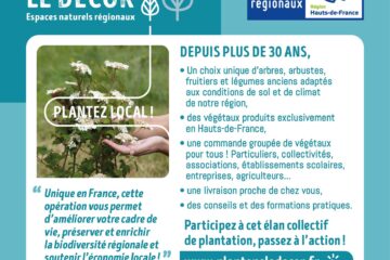 Plantons le décor