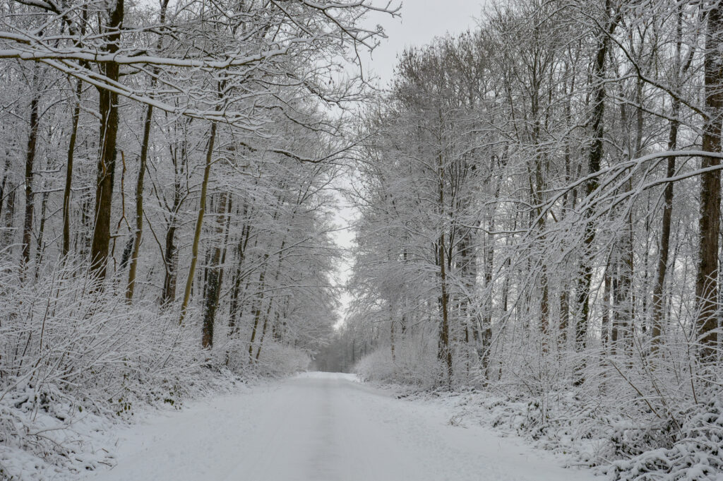 Paysage de neige